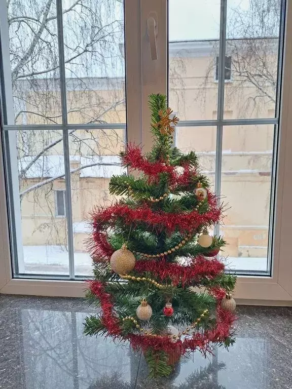 1-к кв. Татарстан, Казань ул. Карла Маркса, 47Б (16.0 м) - Фото 1