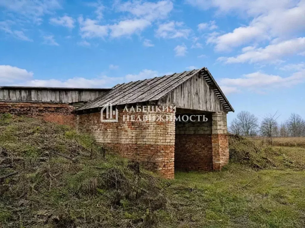 Помещение свободного назначения в Ленинградская область, Волосовский ... - Фото 1