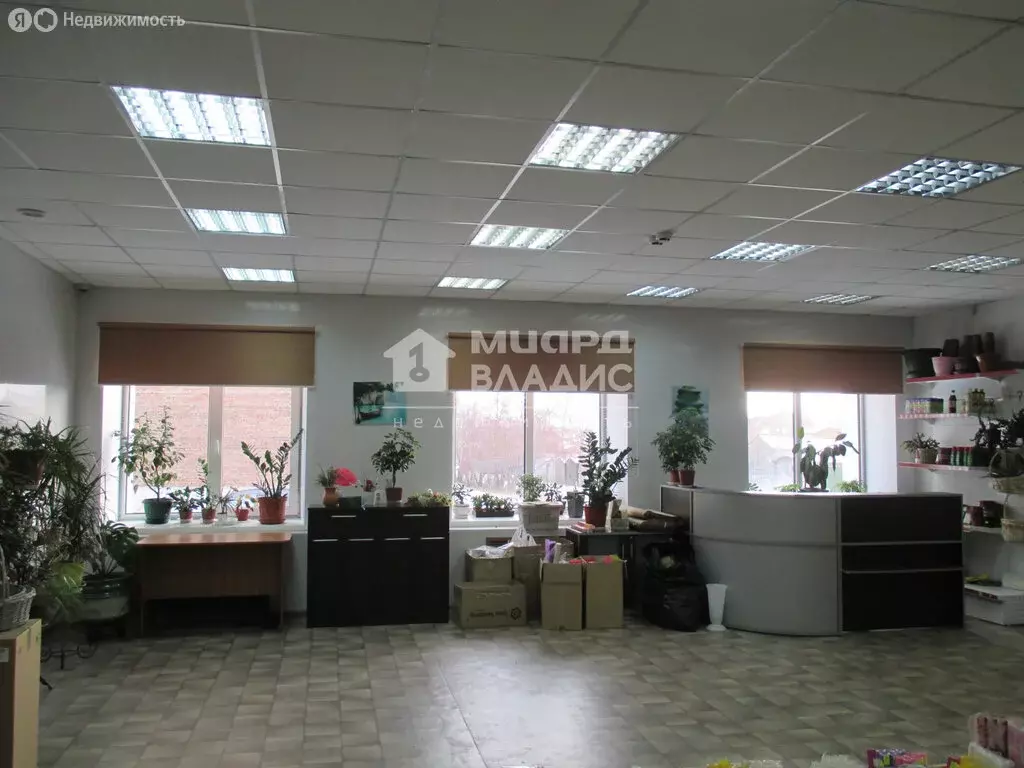 Помещение свободного назначения (295.6 м) - Фото 0