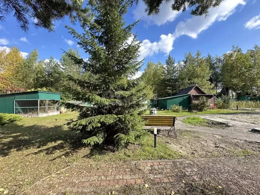 Участок в Ханты-Мансийский АО, Сургут Виктория садовое товарищество, ... - Фото 1