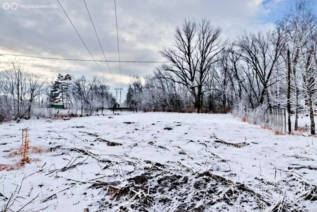 Участок в Оренбург, СНТ Родник, Лесная улица (14 м) - Фото 2