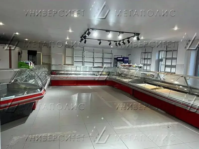 Склад в Москва ул. Шолохова, 10К1 (190 м) - Фото 1