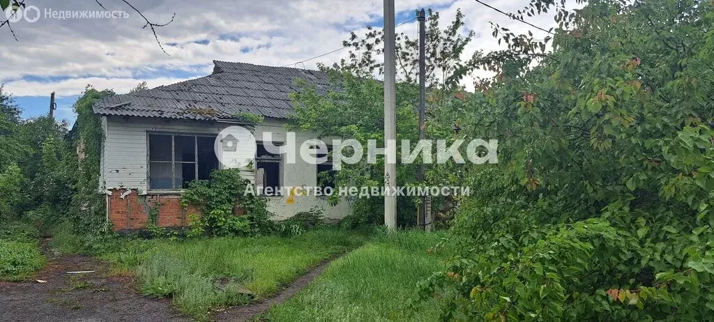 Помещение свободного назначения (540 м) - Фото 1