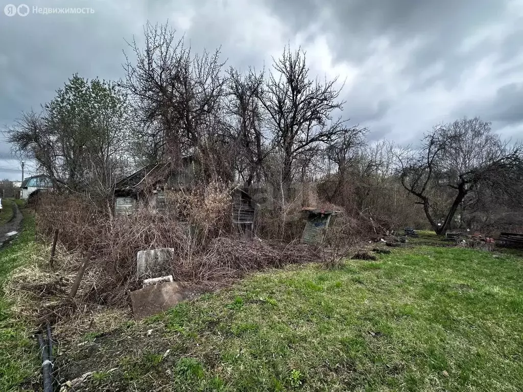 Участок в Брянск, садоводческое объединение Родина (1039 м) - Фото 2