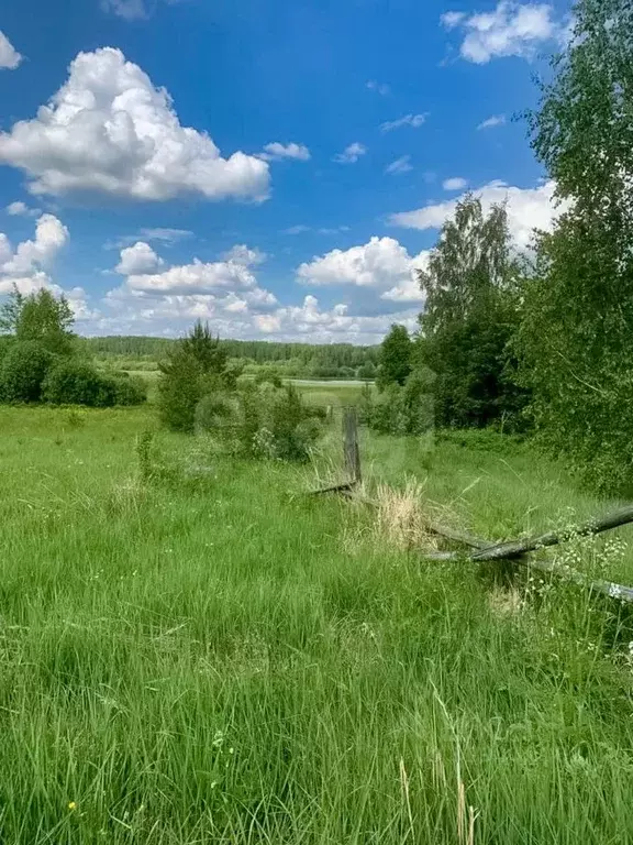 Участок в Ярославская область, Мышкинский муниципальный округ, с. Учма ... - Фото 1