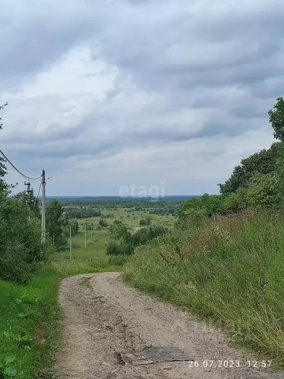 Участок в Костромская область, Костромской район, Бакшеевское с/пос, ... - Фото 0