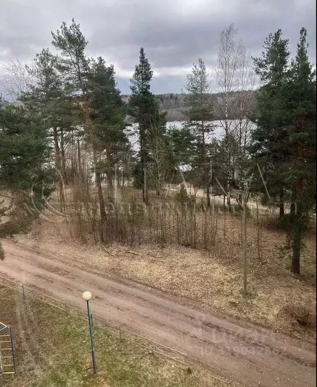 3-к кв. Ленинградская область, Подпорожский район, Никольское ... - Фото 1