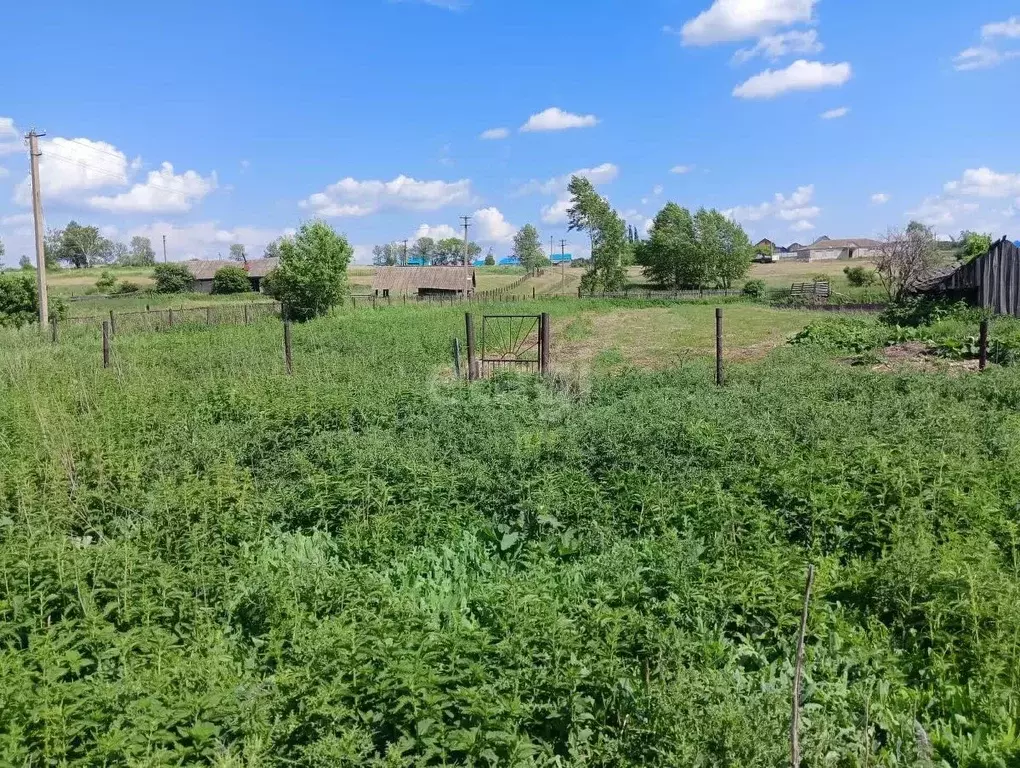 Участок в Башкортостан, Кармаскалинский район, Кабаковский сельсовет, ... - Фото 2