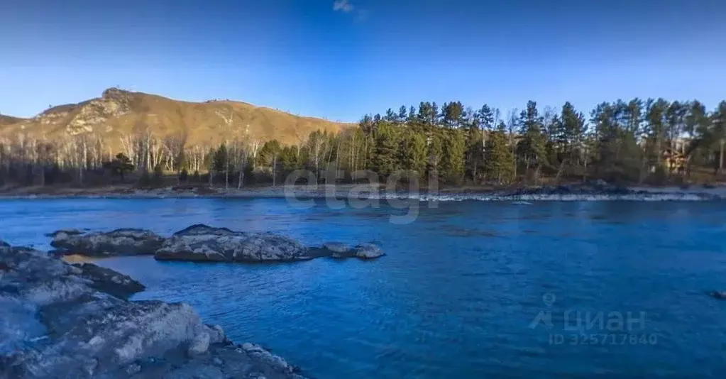 Участок в Алтай, Майминский район, с. Соузга пер. Новый, 1А (19.5 ... - Фото 2