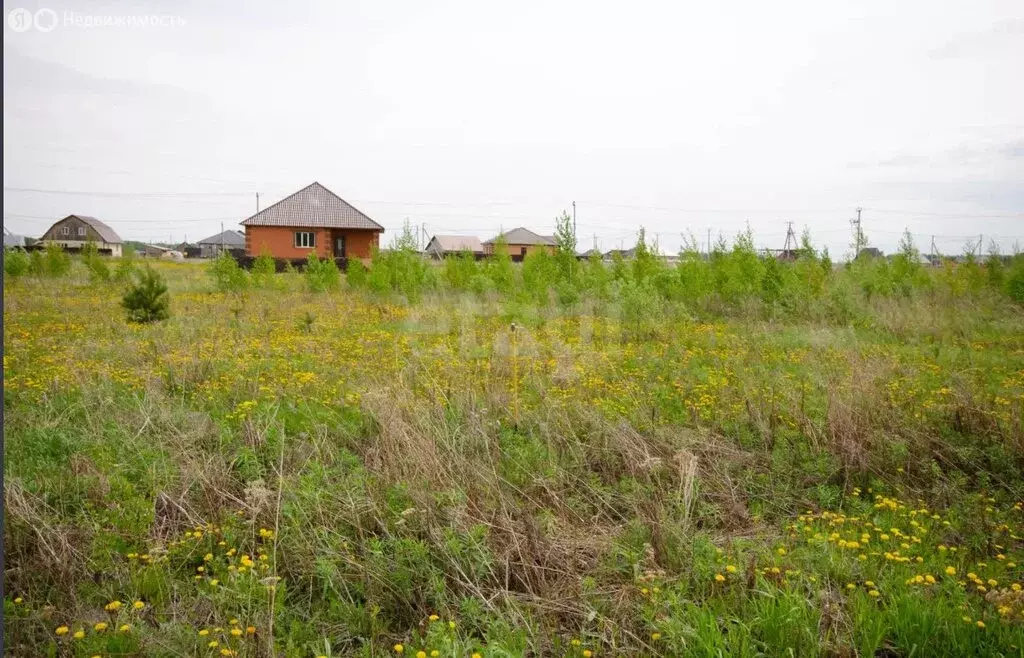 Участок в Заводоуковск, улица Константина Рокоссовского, 11 (10 м) - Фото 0