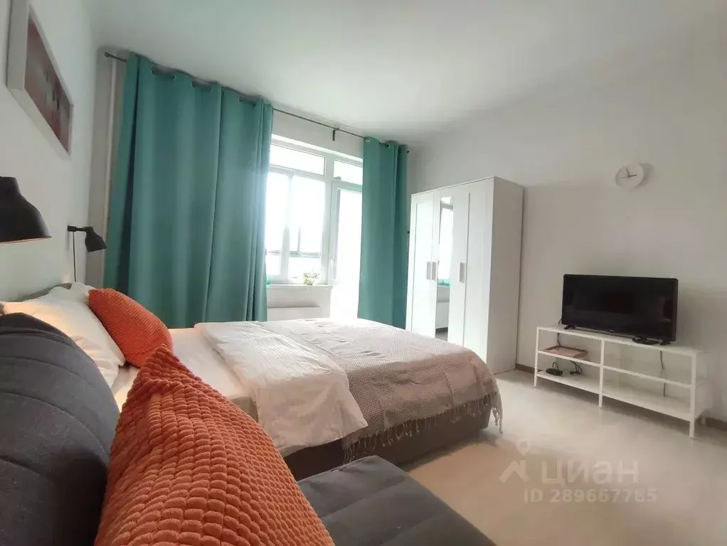 Студия Московская область, Мытищи ул. Академика Каргина, 23А (29.0 м) - Фото 1