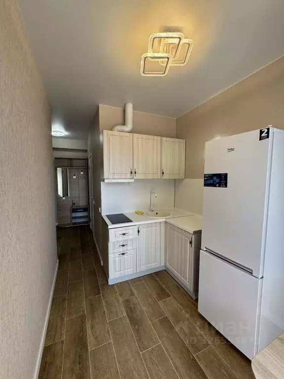 1-к кв. Краснодарский край, Сочи городской округ, Дагомыс пгт ул. ... - Фото 2