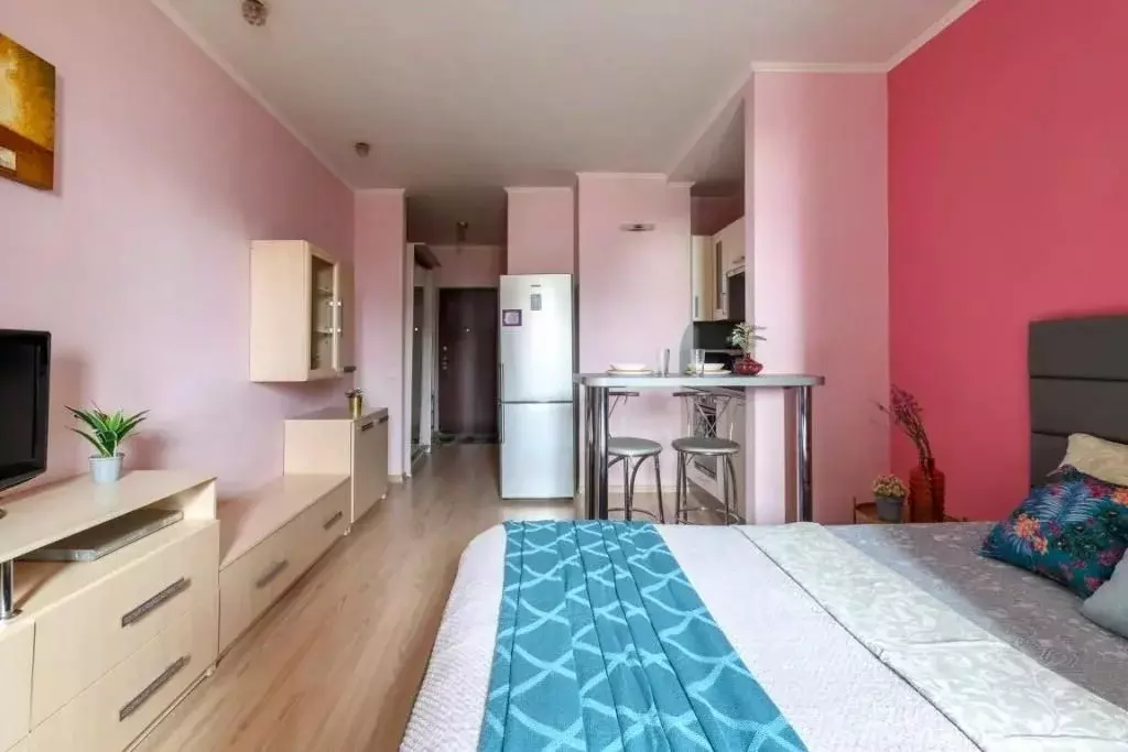 1-к кв. Санкт-Петербург Коломяжский просп., 15к2 (30.0 м) - Фото 1