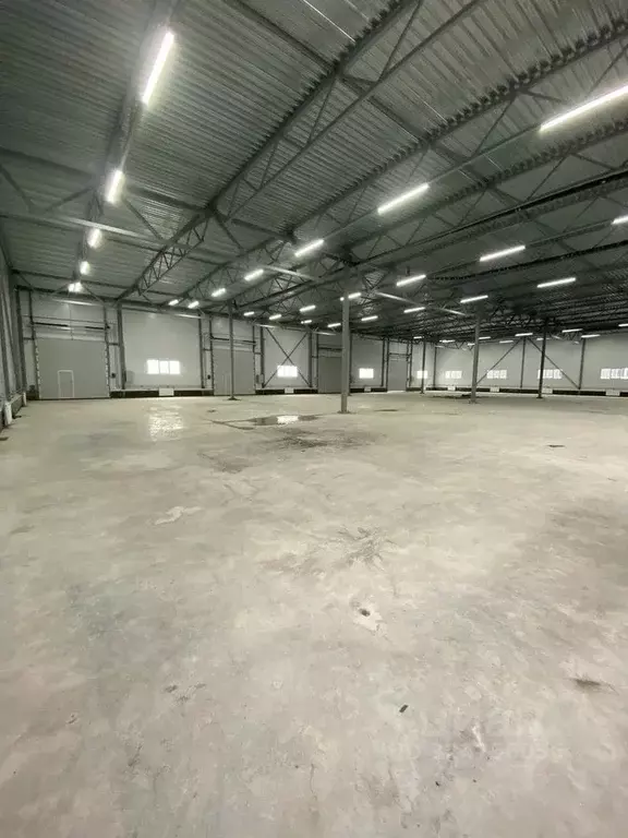 Производственное помещение в Ленинградская область, Всеволожский ... - Фото 1