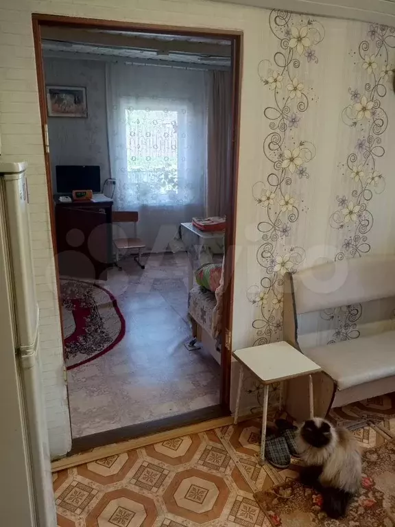 Дом 26 м на участке 4 сот. - Фото 1
