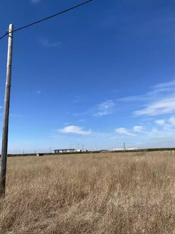 Участок в Хакасия, Алтайский район, с. Белый Яр ул. Российская, 45 ... - Фото 2