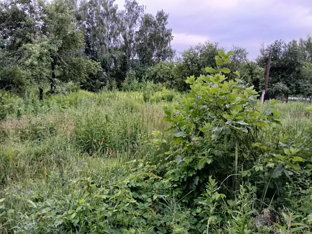 Участок в Татарстан, Зеленодольский район, Октябрьское с/пос, пос. ... - Фото 2