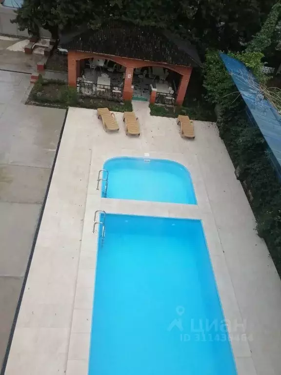 Комната Краснодарский край, Сочи ул. Ленина, 223Б (25.0 м) - Фото 2