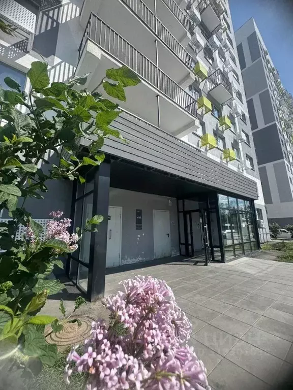 Студия Пензенская область, Пенза ул. 65-летия Победы, 29 (31.0 м) - Фото 0