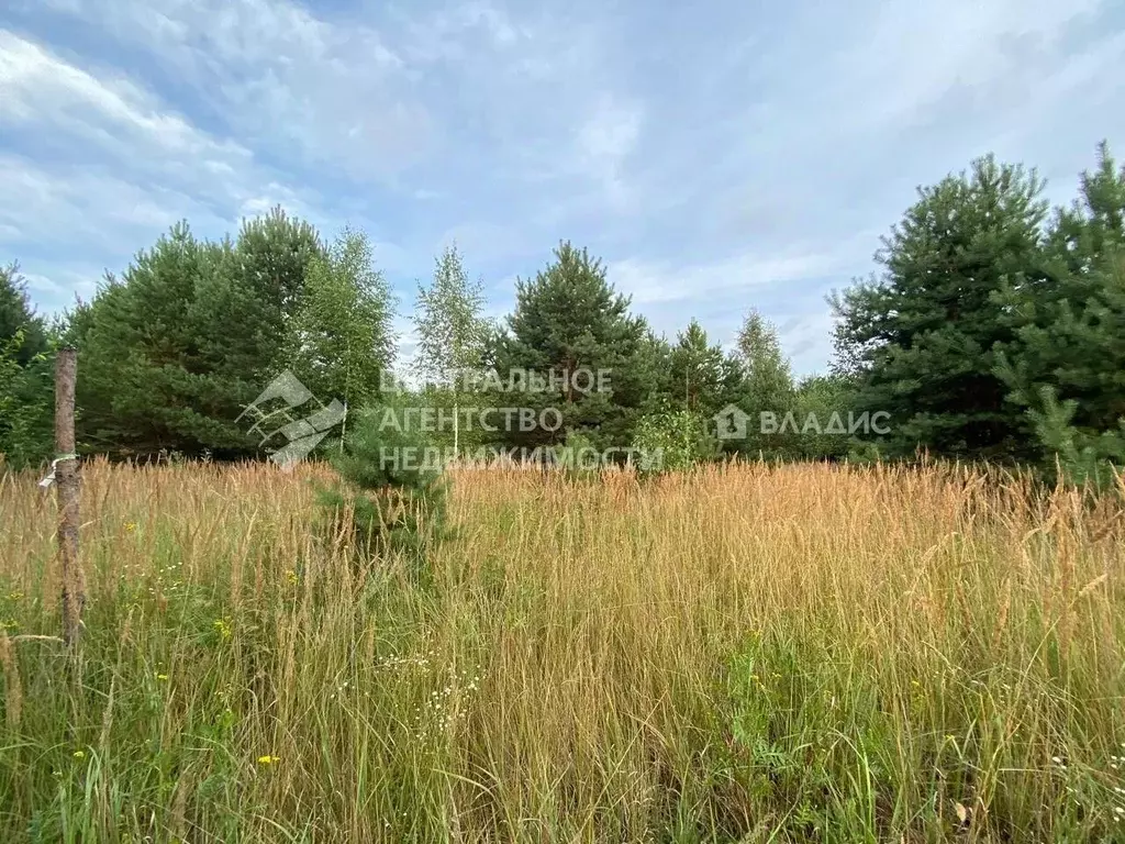 Участок в Рязанская область, Клепиковский район, Ненашкинское с/пос, ... - Фото 2