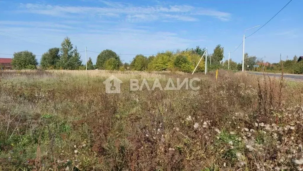 Участок в Владимирская область, Суздальский район, Селецкое ... - Фото 0