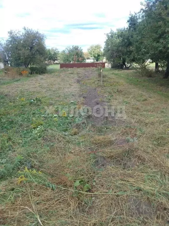 Участок в посёлок Мичуринский, СДТ Надежда, улица Астахова (6.29 м) - Фото 2