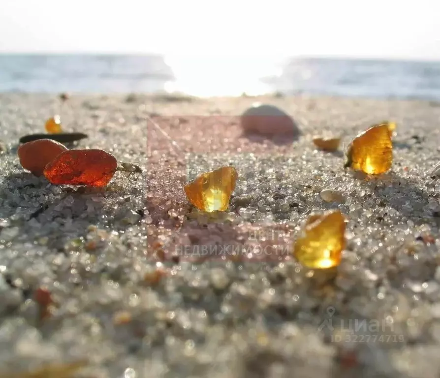 Участок в Калининградская область, Зеленоградск пер. Газонный, 4 (8.0 ... - Фото 1