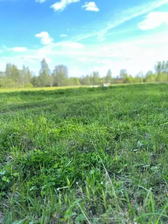 Участок в Новгородская область, Маловишерское городское поселение, д. ... - Фото 2