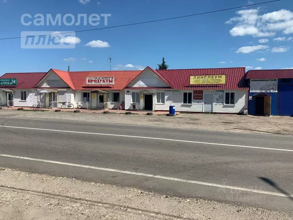 Торговая площадь в Пензенская область, с. Наровчат ул. ... - Фото 1