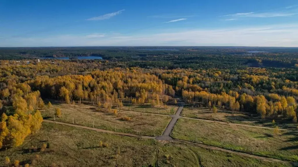 Участок в Ленинградская область, Всеволожский район, Куйвозовское ... - Фото 1