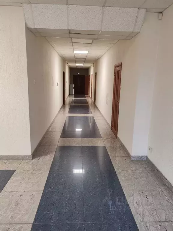 Офис в Новосибирская область, Новосибирск Коммунистическая ул., 31 ... - Фото 1