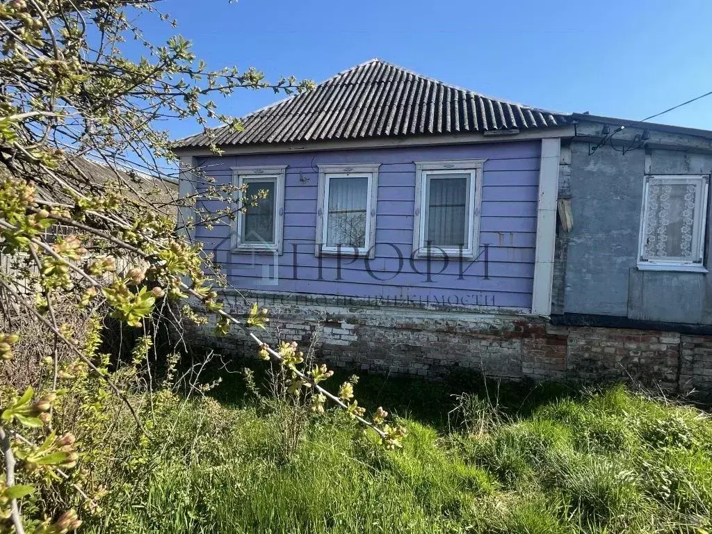 Дом в Белгородская область, Новооскольский муниципальный округ, с. ... - Фото 1