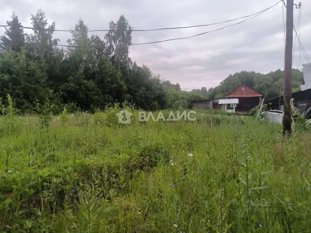 Участок в Пермский край, Краснокамский городской округ, с. Мысы ул. ... - Фото 0