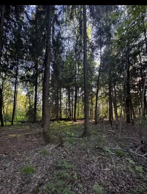 Участок в Московская область, Талдомский городской округ, д. ... - Фото 1
