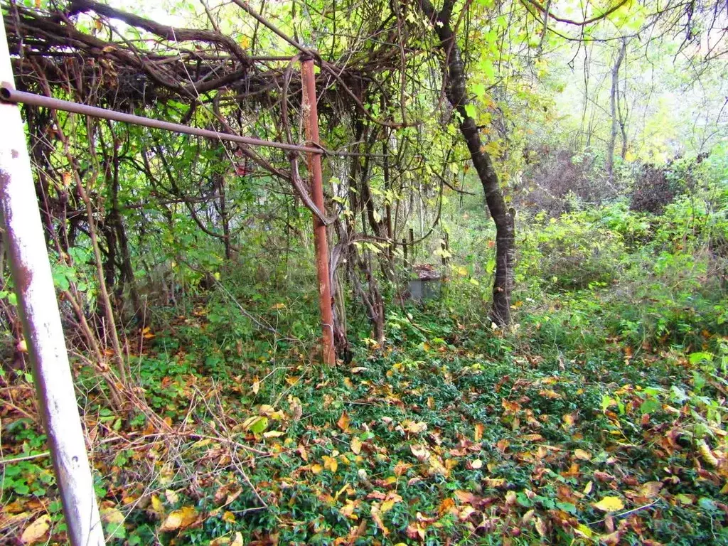 Участок в Ставропольский край, Кисловодск За Рулем садовые участки, ... - Фото 0