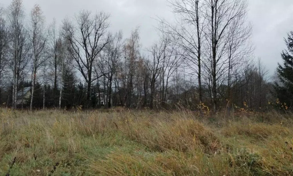 Участок в Московская область, Дмитровский муниципальный округ, д. ... - Фото 1