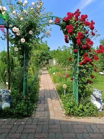 Дача 50 м на участке 8 сот. - Фото 0