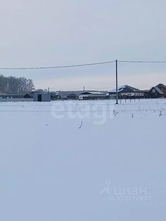 Участок в Омская область, Омский район, с. Усть-Заостровка  (14.0 ... - Фото 0