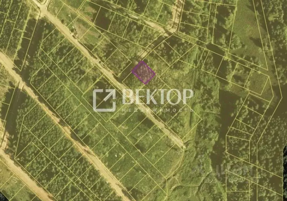 Участок в Ярославская область, Некрасовский муниципальный округ, Малые ... - Фото 2