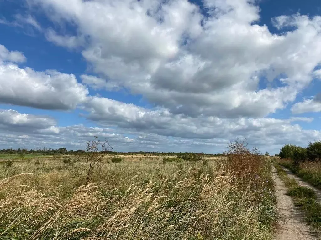 Участок в Калининградская область, Гурьевский муниципальный округ, ... - Фото 2