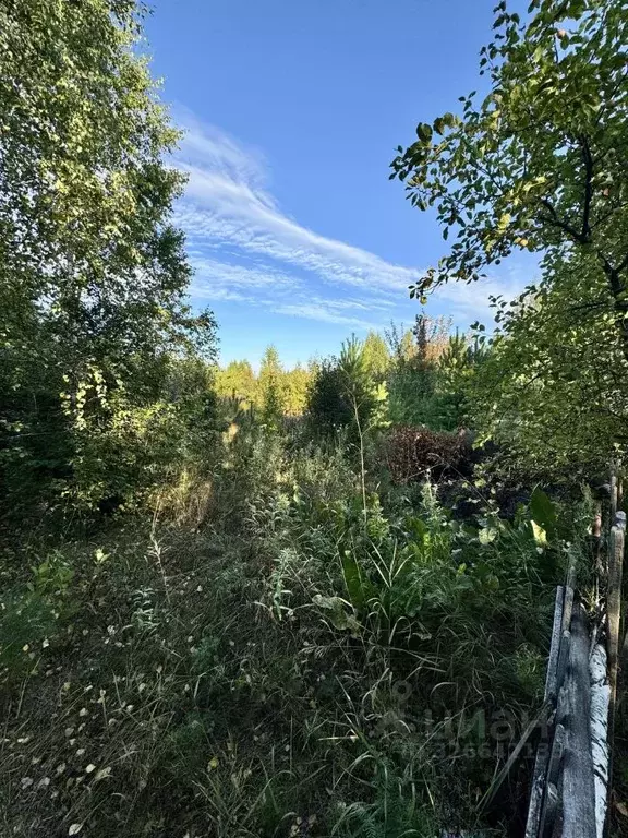 Участок в Курганская область, Кетовский муниципальный округ, Надежда ... - Фото 1