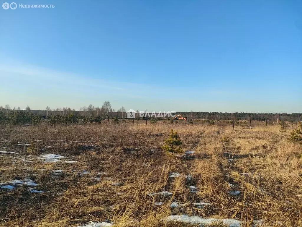 Участок в Ногинск, Ново-Богородская улица, 12 (15.5 м) - Фото 1