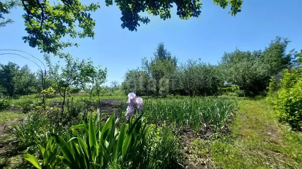 Дом в Тамбовская область, Тамбовский муниципальный округ, Фармация дп  ... - Фото 1