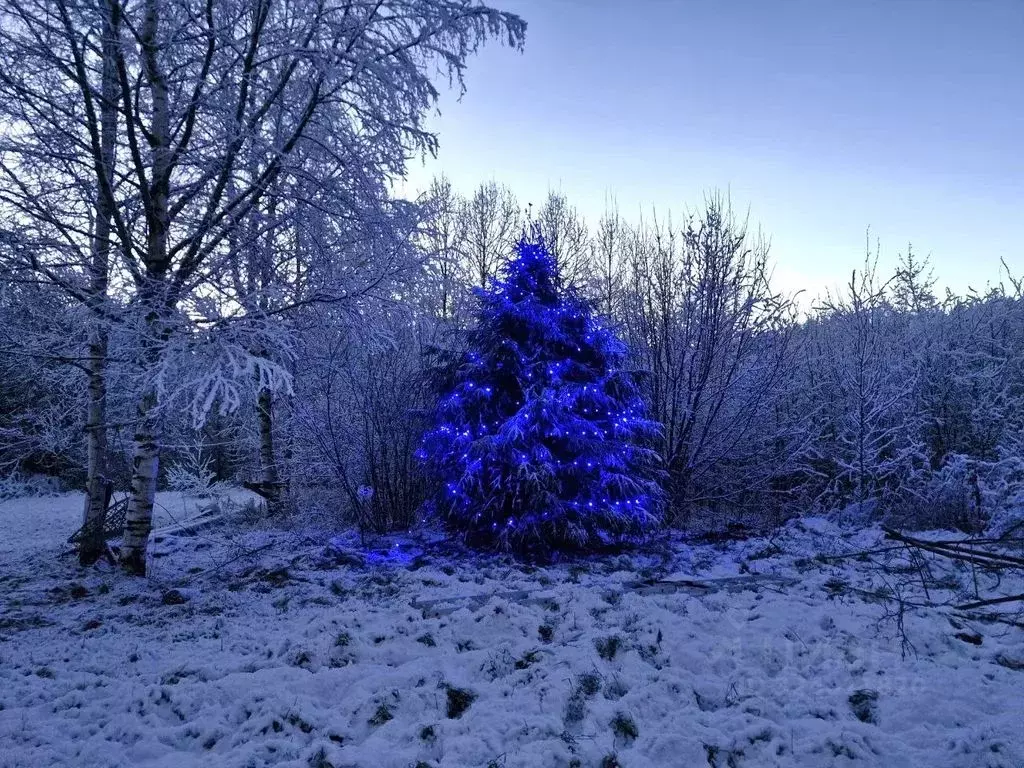 Дом в Ленинградская область, Выборгский район, Селезневское с/пос, ... - Фото 2