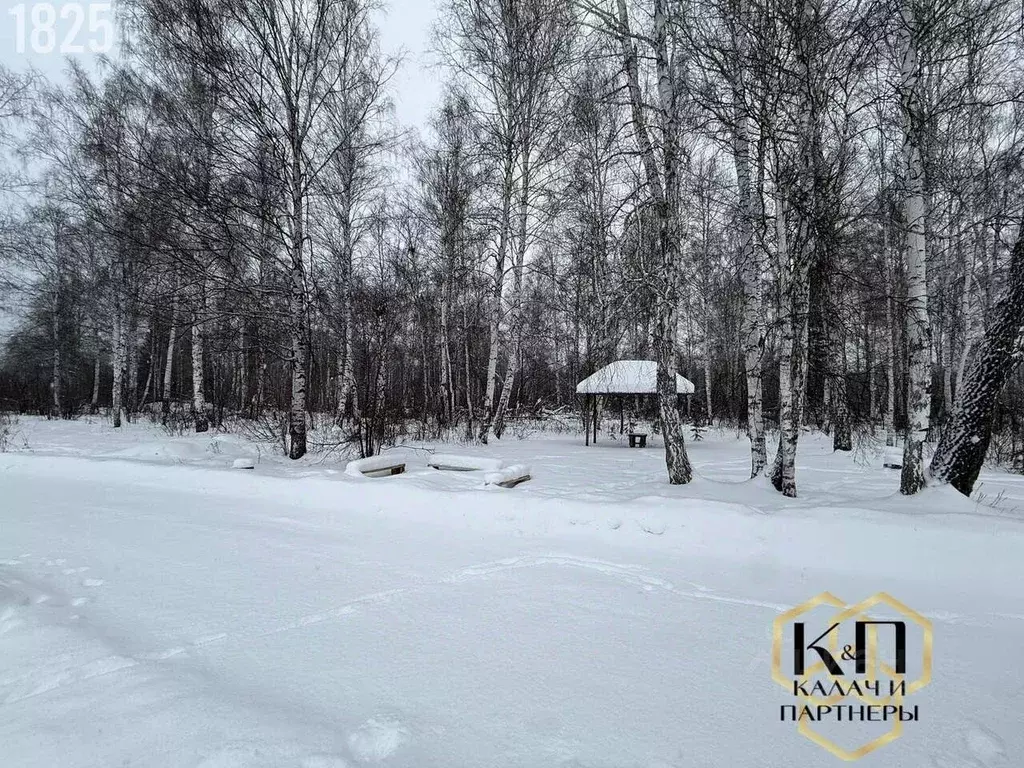 Участок в Свердловская область, Полевской муниципальный округ, пос. ... - Фото 2