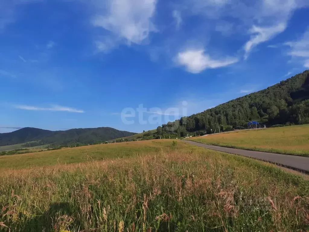 Участок в Алтайский край, Белокуриха Ленский пер. (41.8 сот.) - Фото 2