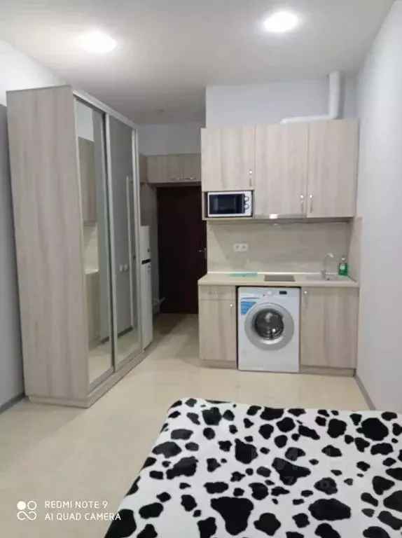 Студия Крым, Ялта муниципальный округ, Виноградное пгт ш. ... - Фото 1