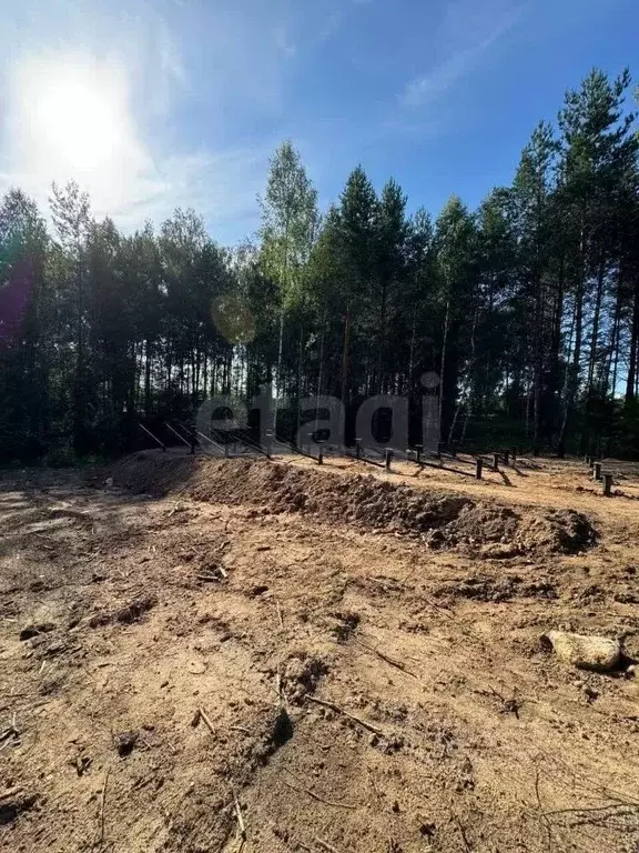 Участок в Владимирская область, Ковровский район, Доброград ... - Фото 1