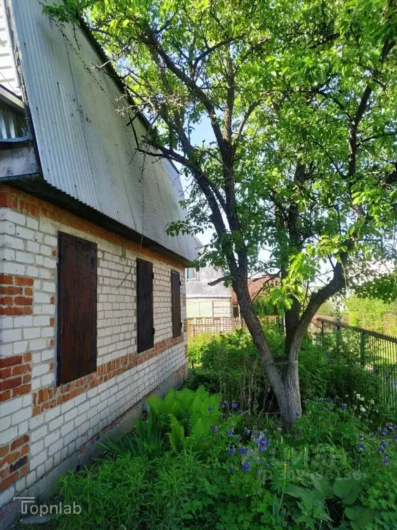 Дом в Рязанская область, Рязанский район, Окское с/пос, д. Слободка 14 ... - Фото 2