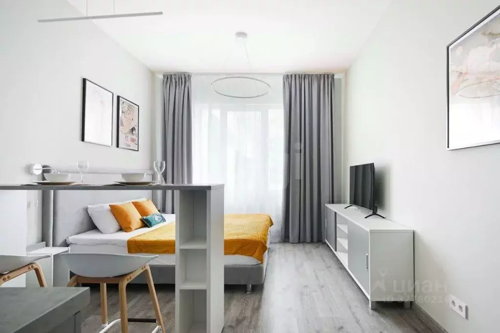 Студия Санкт-Петербург Витебский просп., 99к1 (25.1 м) - Фото 2